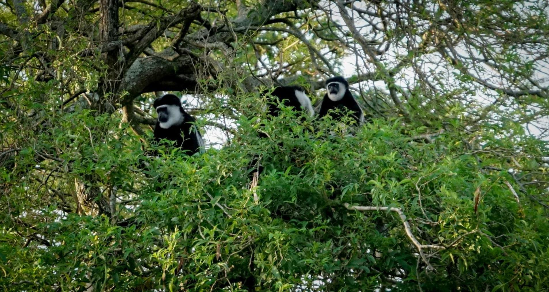 Lake Nkuruba Nature Reserve Hotel Durama Luaran gambar