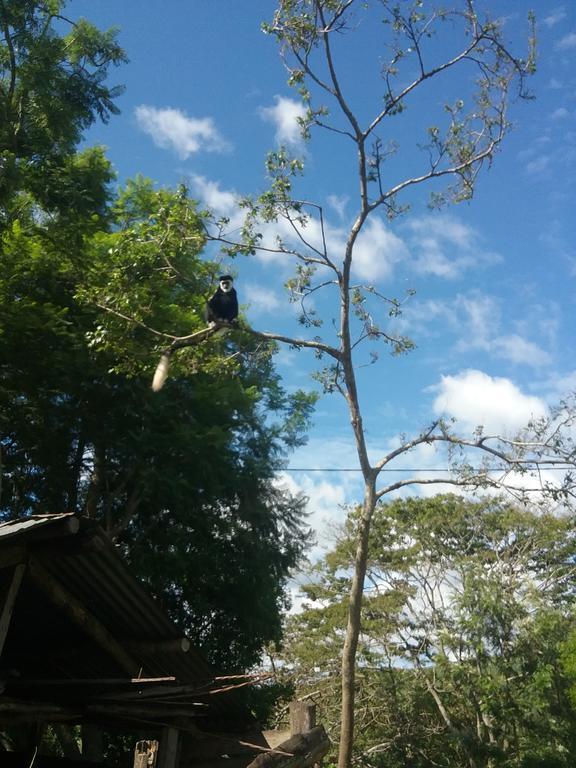 Lake Nkuruba Nature Reserve Hotel Durama Luaran gambar